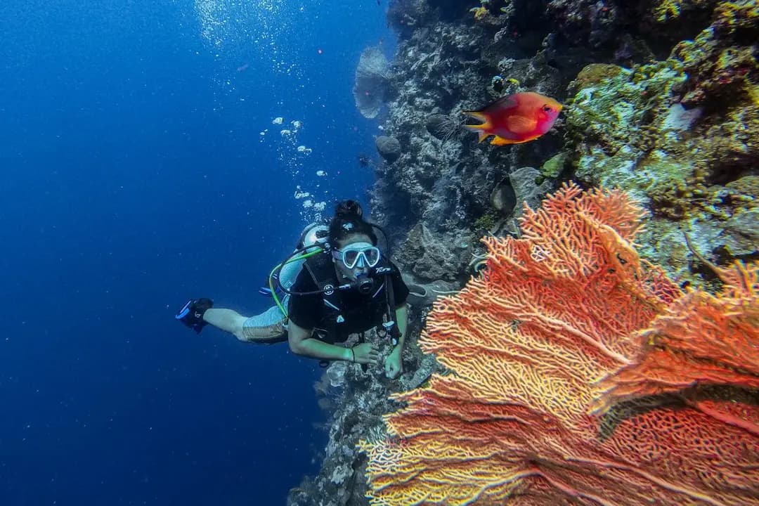 Wakatobi